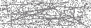 Spam Verification Code